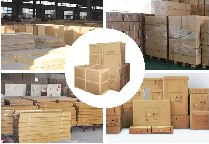 packaing of manufacturing vaccum